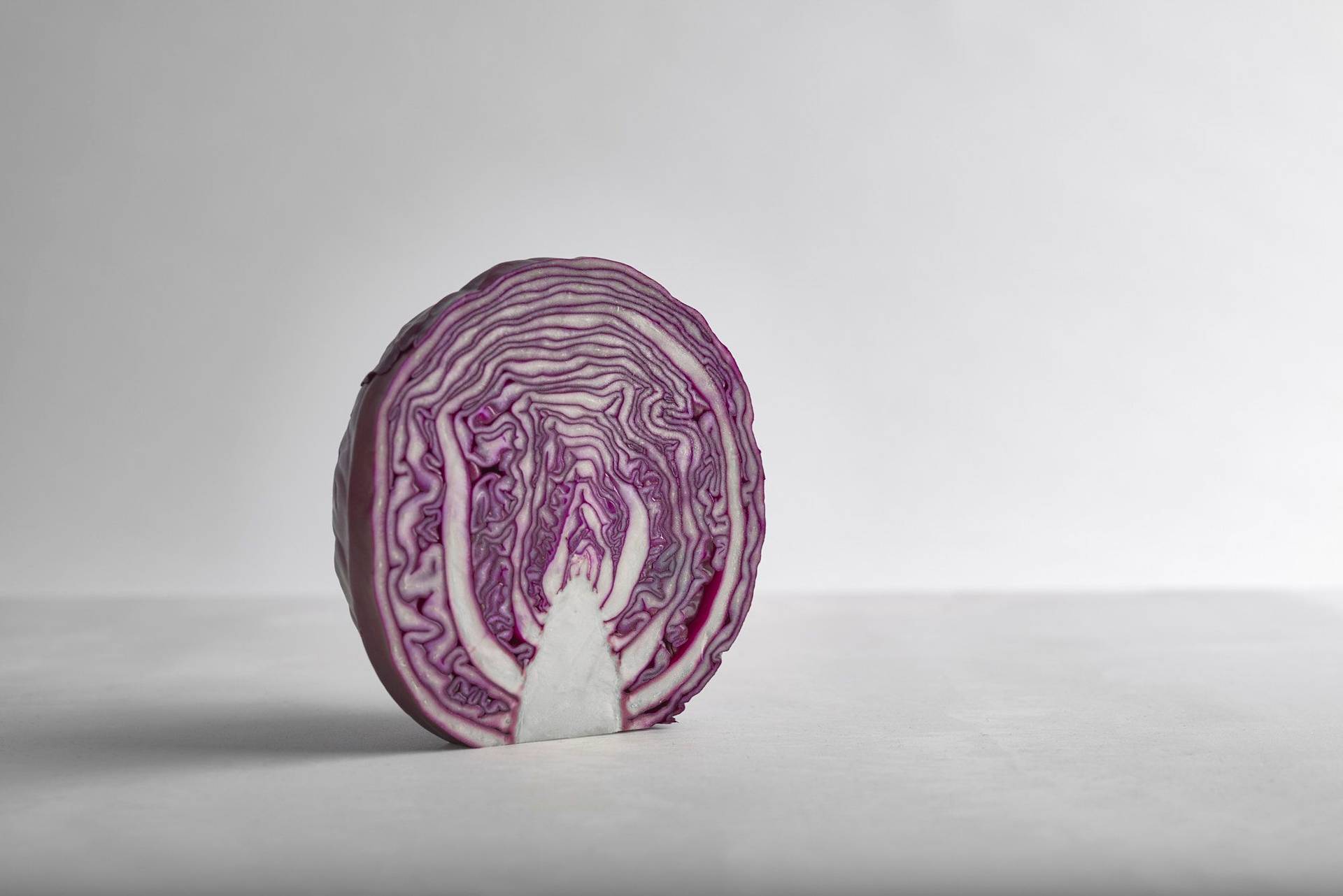 red-cabbage red cabbage on a white sapienstone top