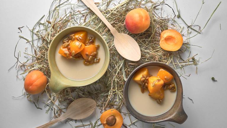 Hay Panna Cotta with Apricots & Sunflower Seeds