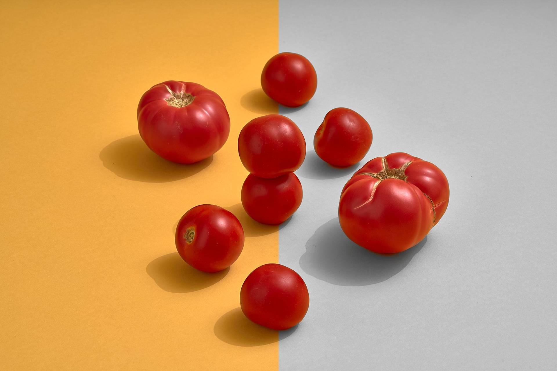 tomatoes tomatoes on yellow background
