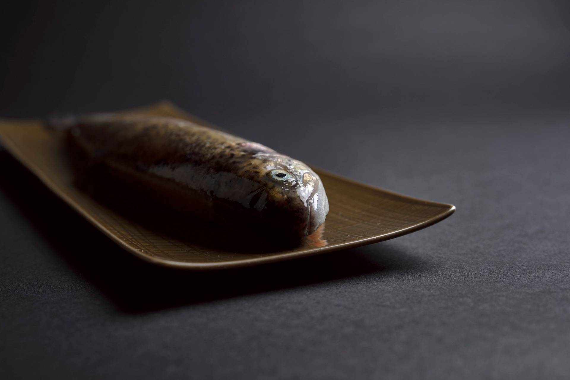 char char on a green plate with black background