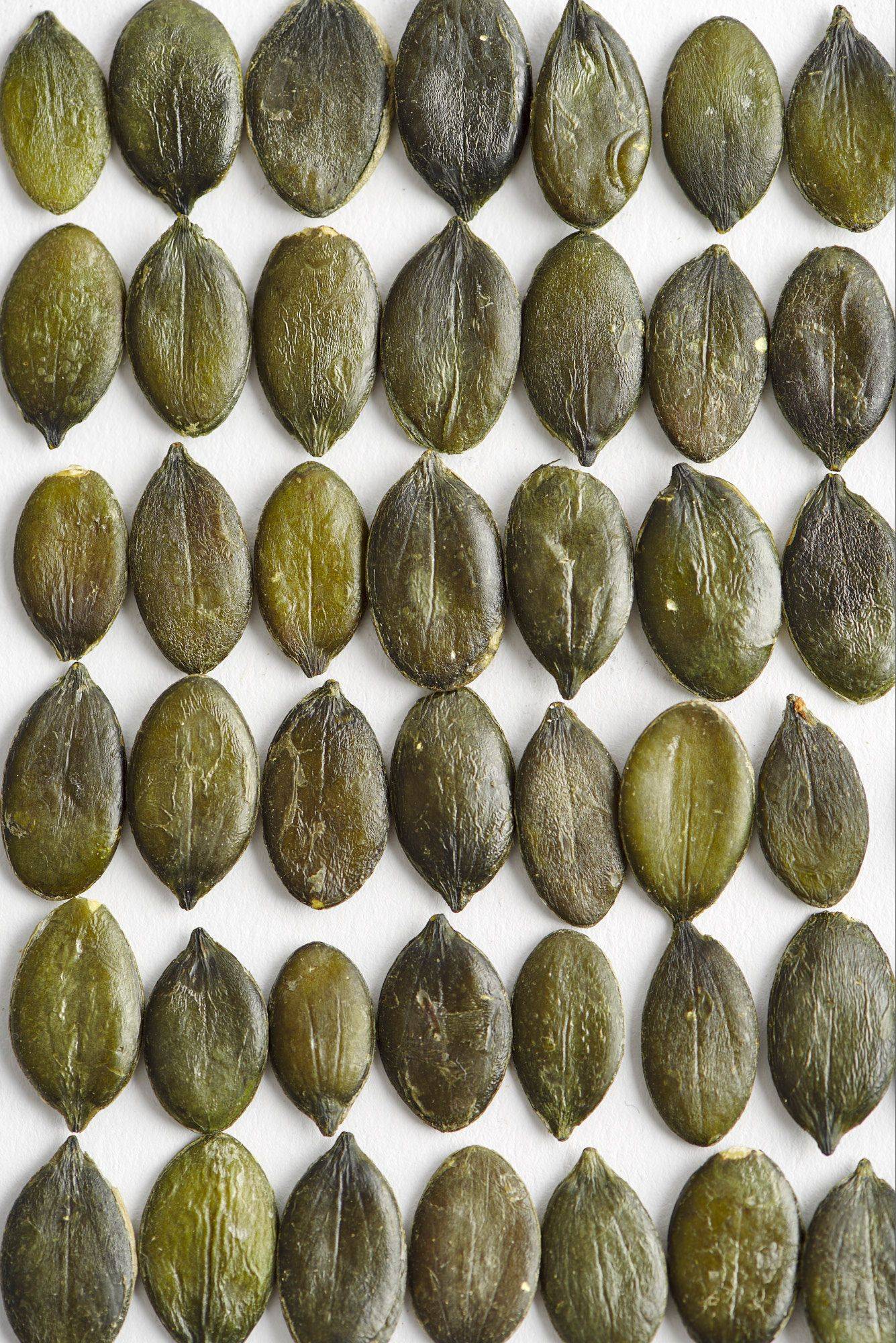 pumpkin-seeds pumpkin seeds with white background