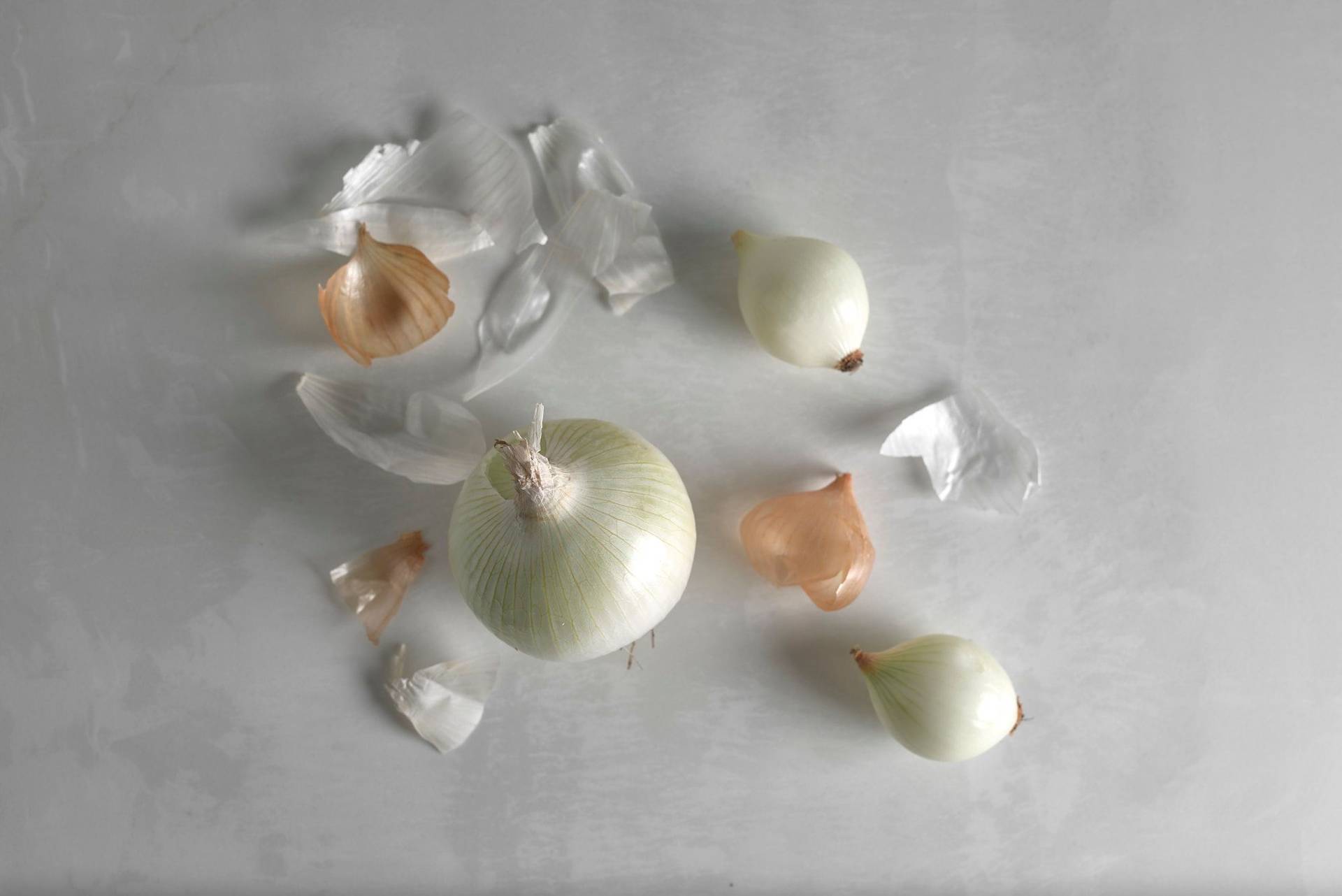 white-onions white onions on a white stone table