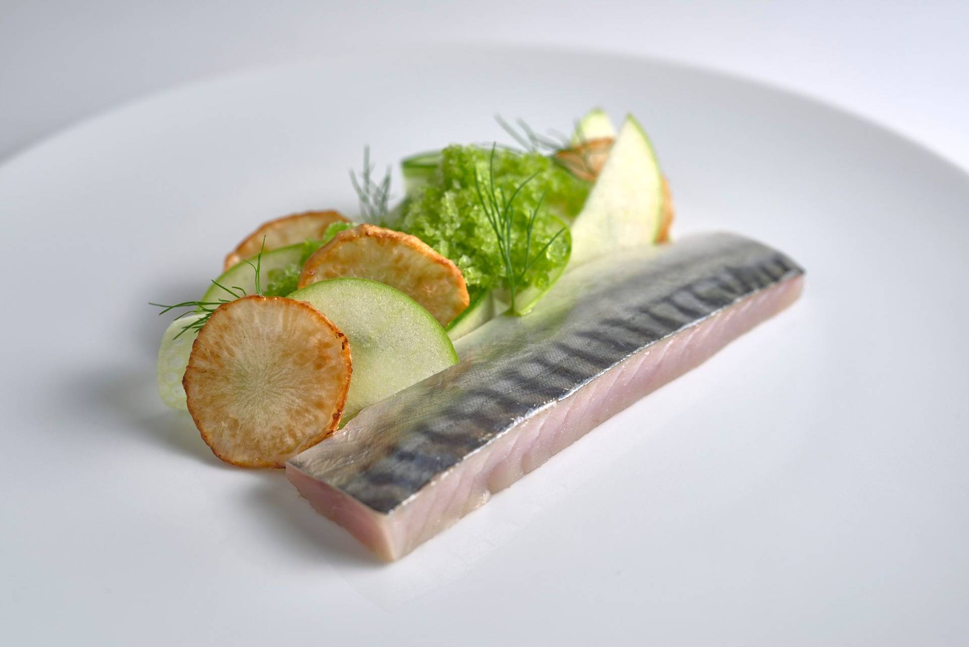 cured-mackerel-with-jerusalem-artichokes-and-dill-granita cured mackerel with jerusalem artichokes and dill granita on a white plate with white background