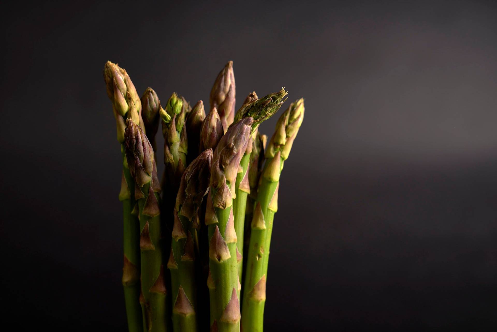green-asparagus green asparagus with black background