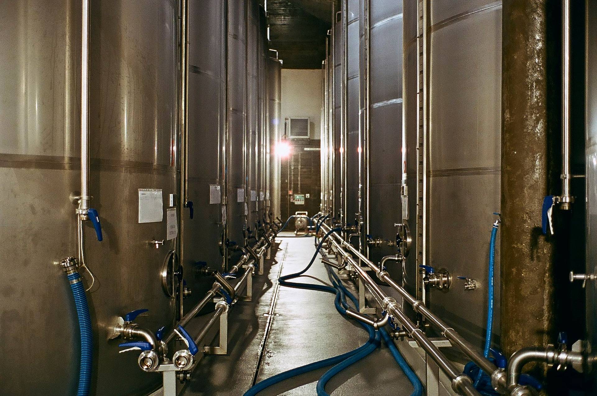 olive-oil-production  olive oil production in alentejo