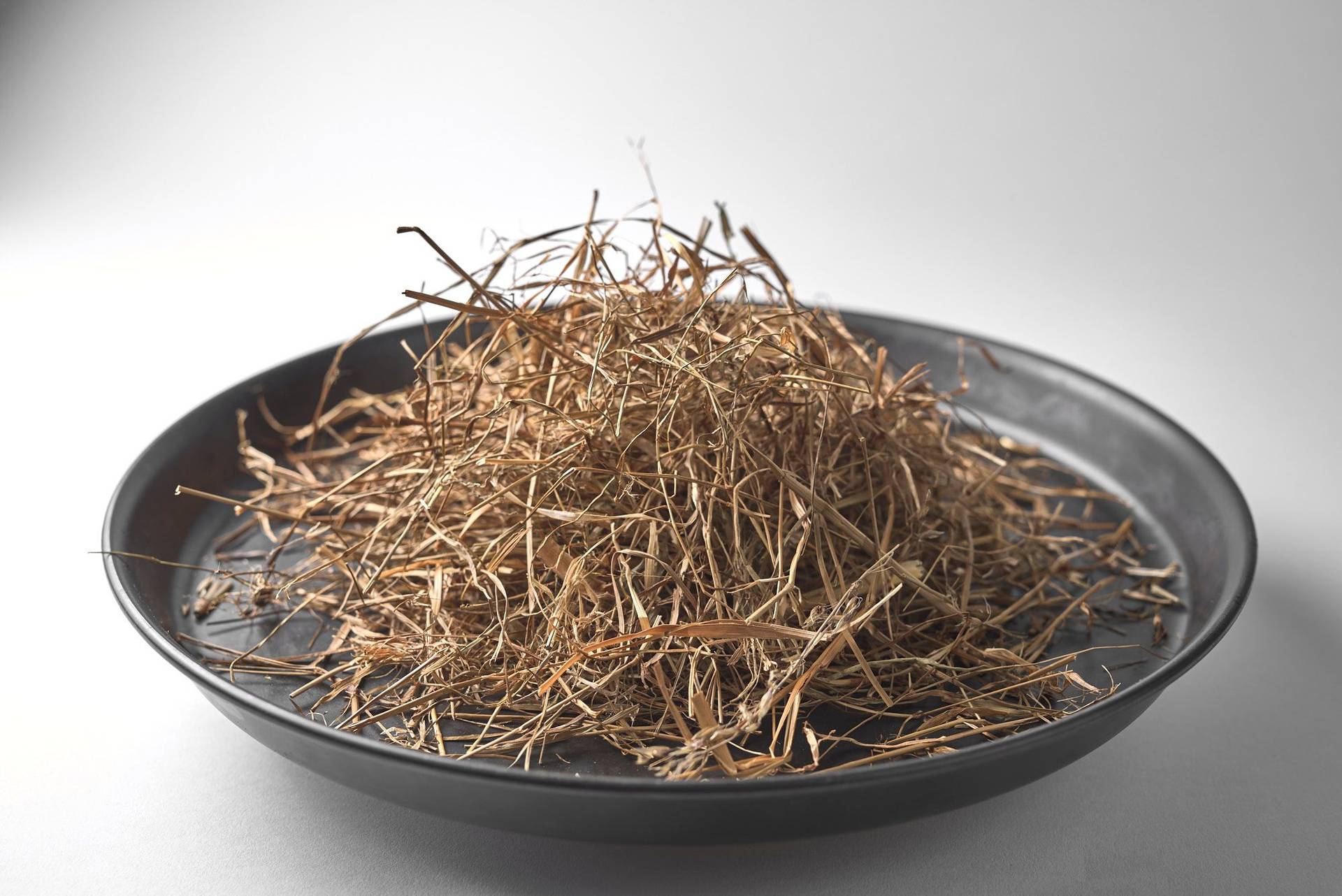 hay toasted hay in a baking pan on white background