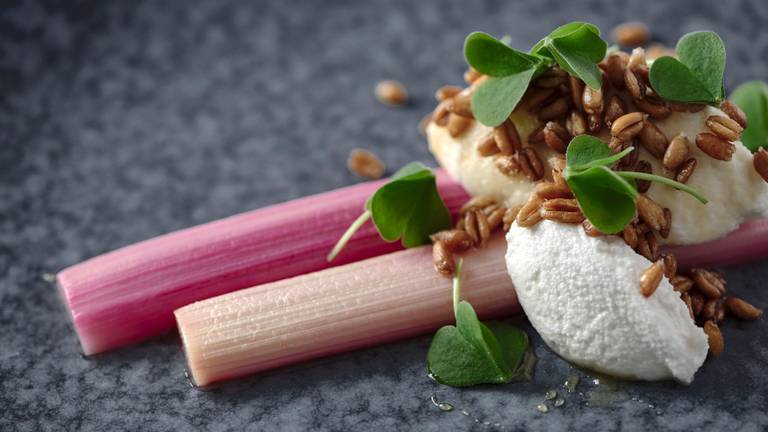 Braised Rhubarb with Vegan Ricotta, Spelt Pops & Sorrel