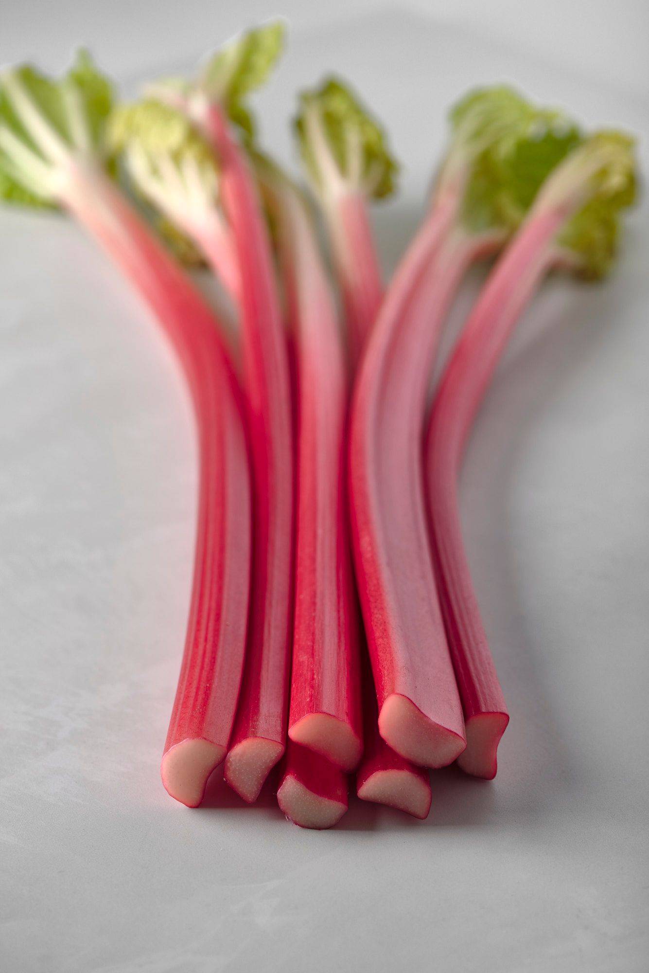 rhubarb a bunch of rhubarb with sapienstone top