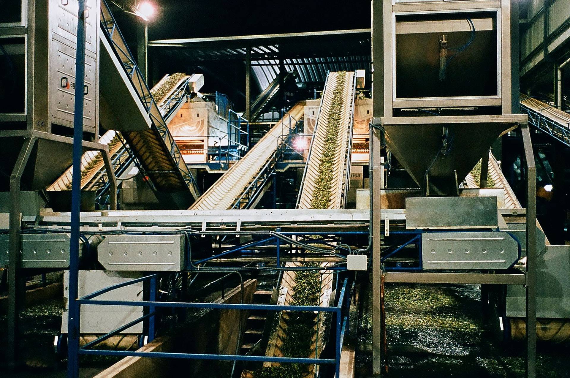 olive-oil-production olive oil production at camb in alentejo