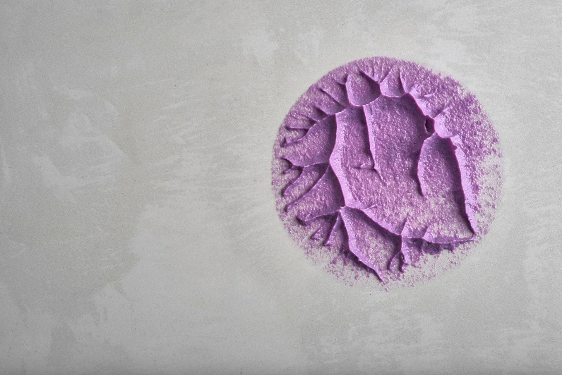red-cabbage-and-cashew-cream red cabbage and cashew cream on a white sapienstone top