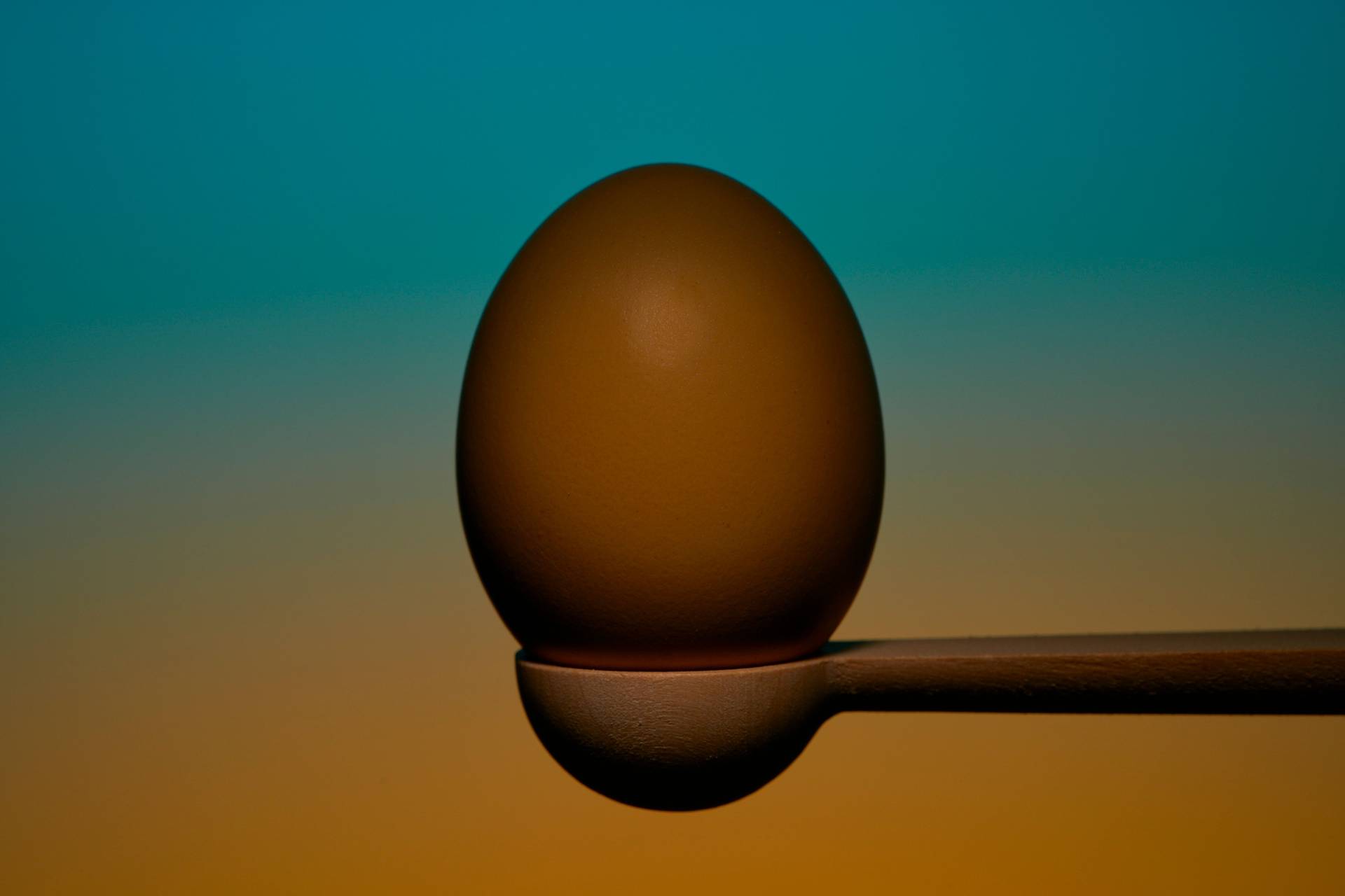 organic-egg organic egg on a wooden spoon on blue and orange background