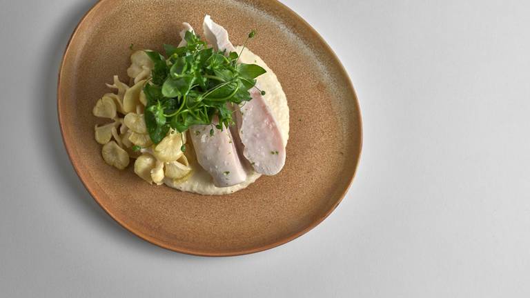Coconut Poached Chicken with Black Salsify, Chickweed & Lemon Mushrooms