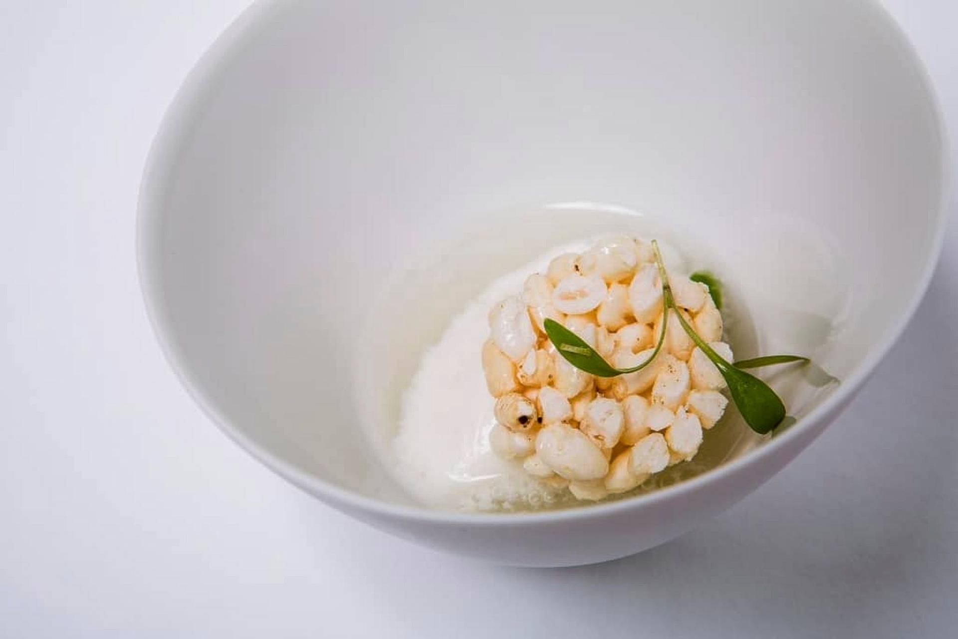 multi-sensory-dinner-at-miele-gallery-berlin the art of smart eating dinner at the miele gallery berlin for the berlin food week
