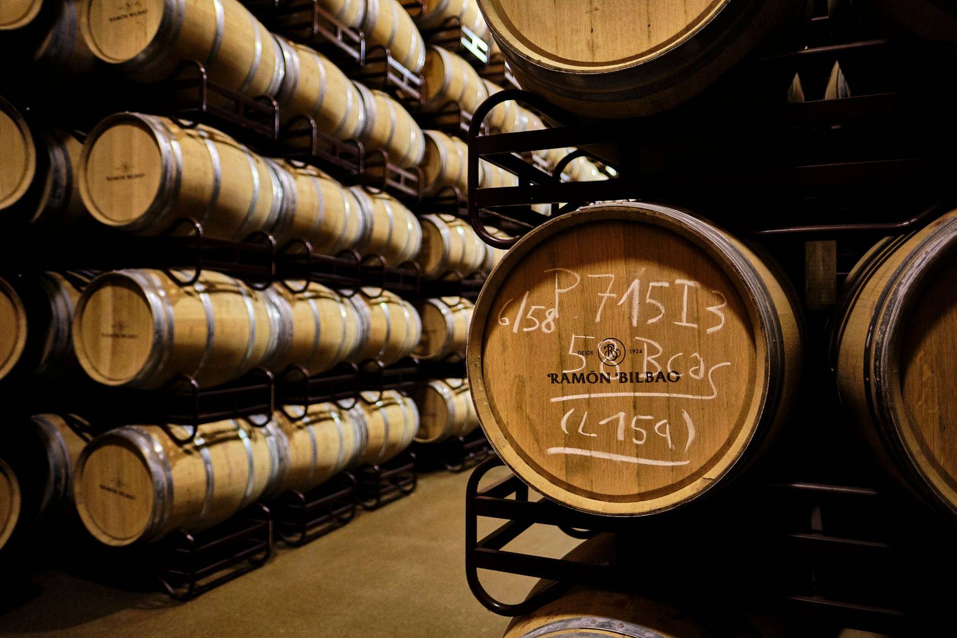 wine-cellar-of-bodega-ramon-bilbao-in-rioja-alta the wine cellar of the bodega ramon bilbao in rioja alta