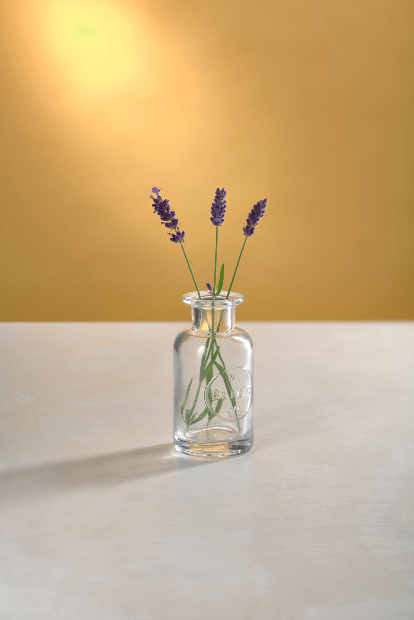 lavendel lavendel in einer glasflasche auf weißem sapienstone top mit gelbem hintergrund