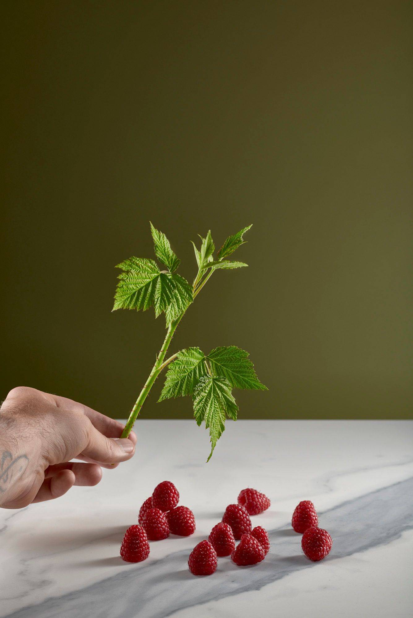 raspberries raspberries with green with a marbled sapienstone top and green background