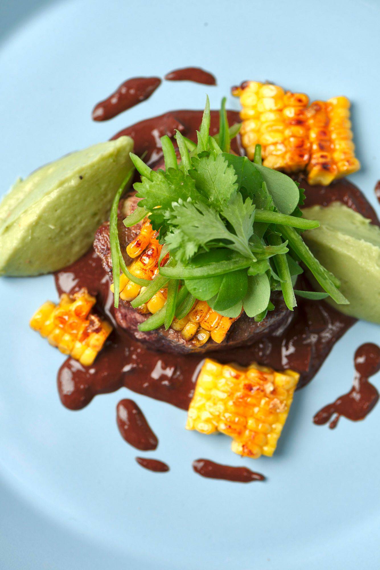 beef-steak-with-dark-beer-mole-sauce-corn-and-guacamole beef steak with dark beer mole sauce corn and guacamole on a blue plate