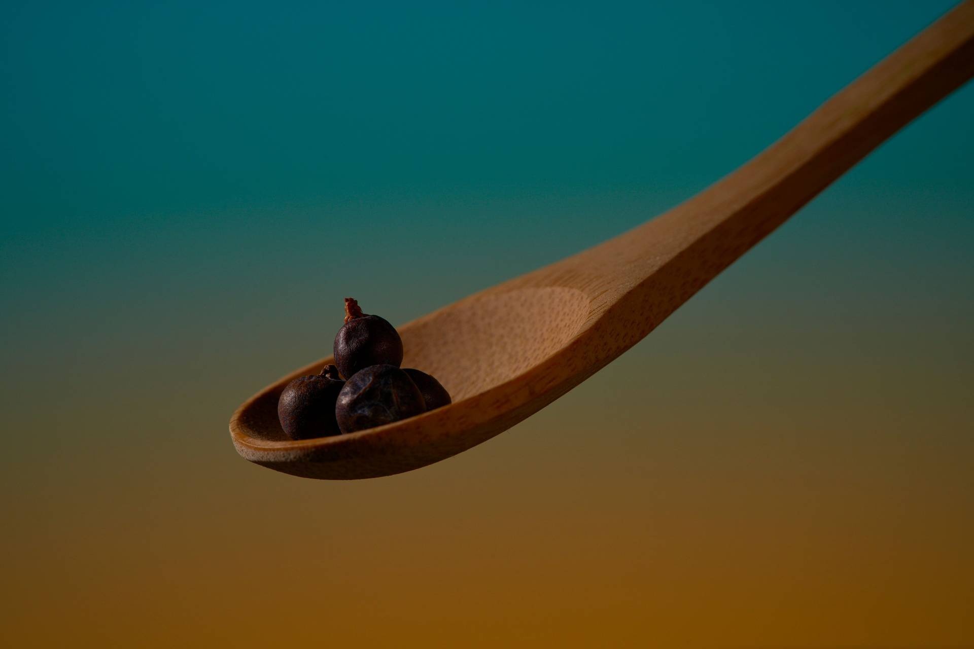 juniper-berries juniper berries on a wooden spoon on blue and orange background