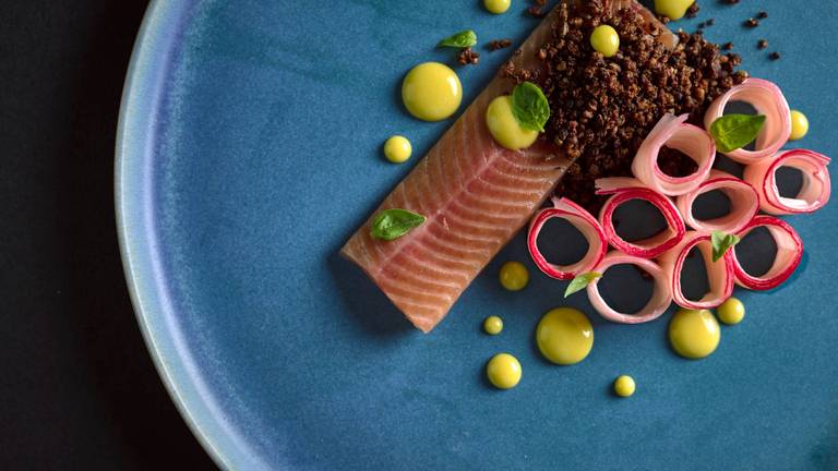 Basil & Orange Cured Char with Rhubarb and Tea Mayonnaise