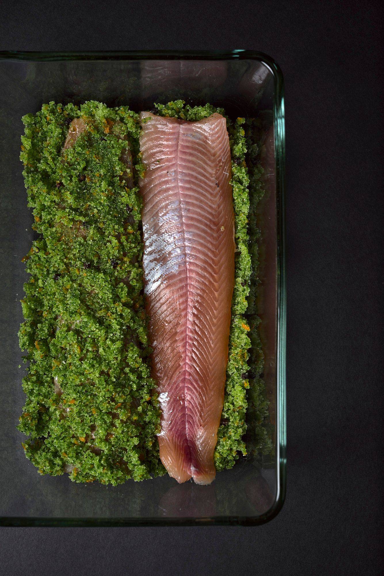 cured-char char fillets cured in basil and orange with black background