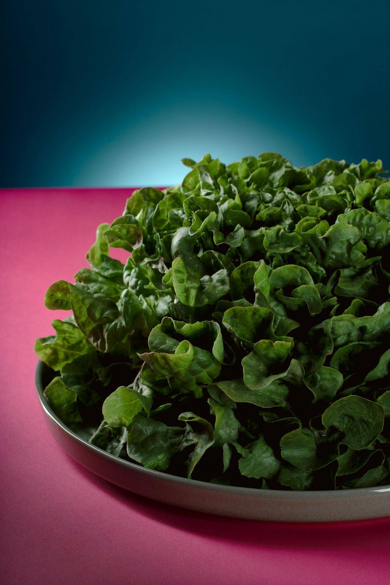 green-lettuce green lettuce with pink and blue background