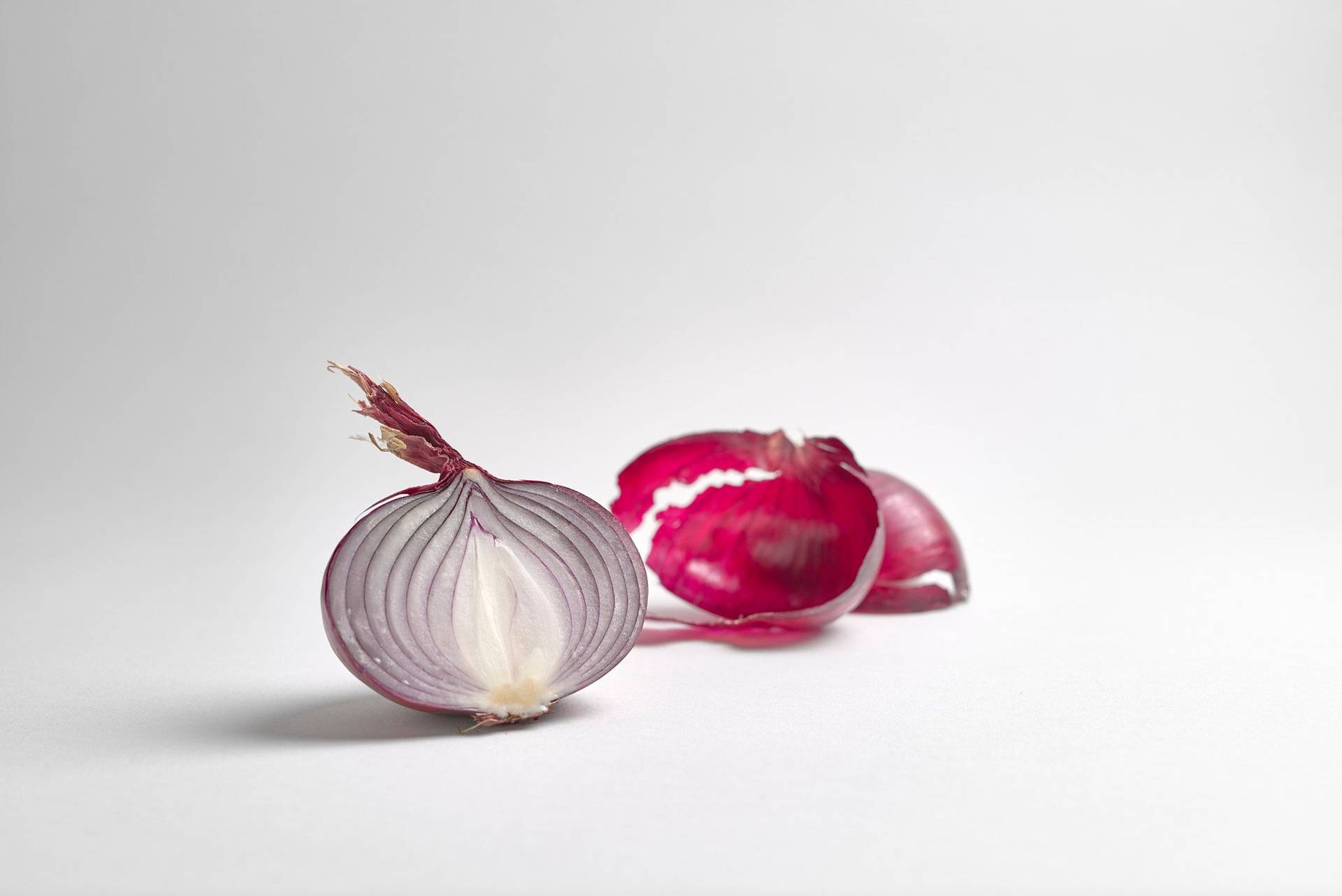 red-onion red onion with white background