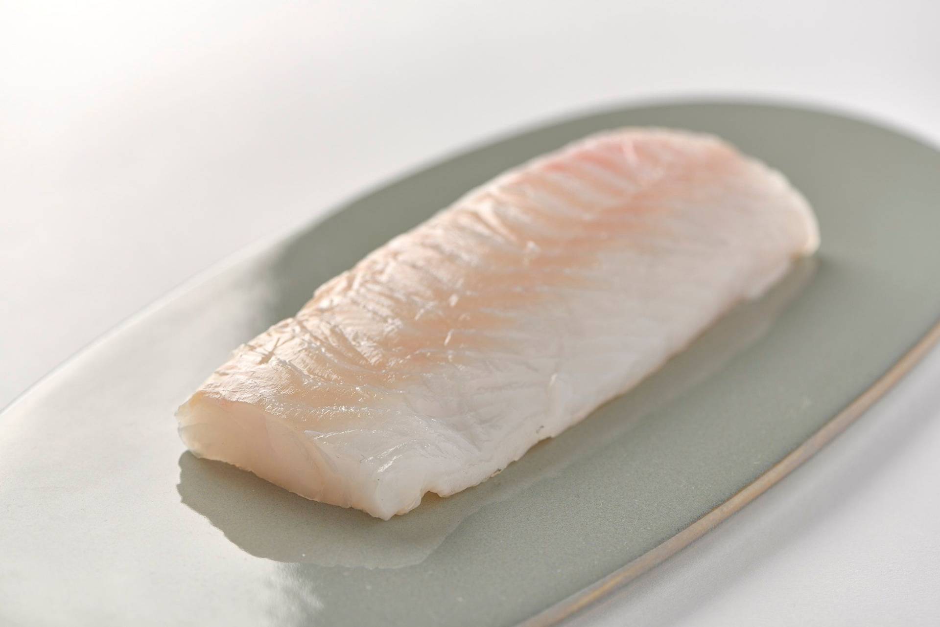 cod-fillet cod fillet on a gray plate with white background