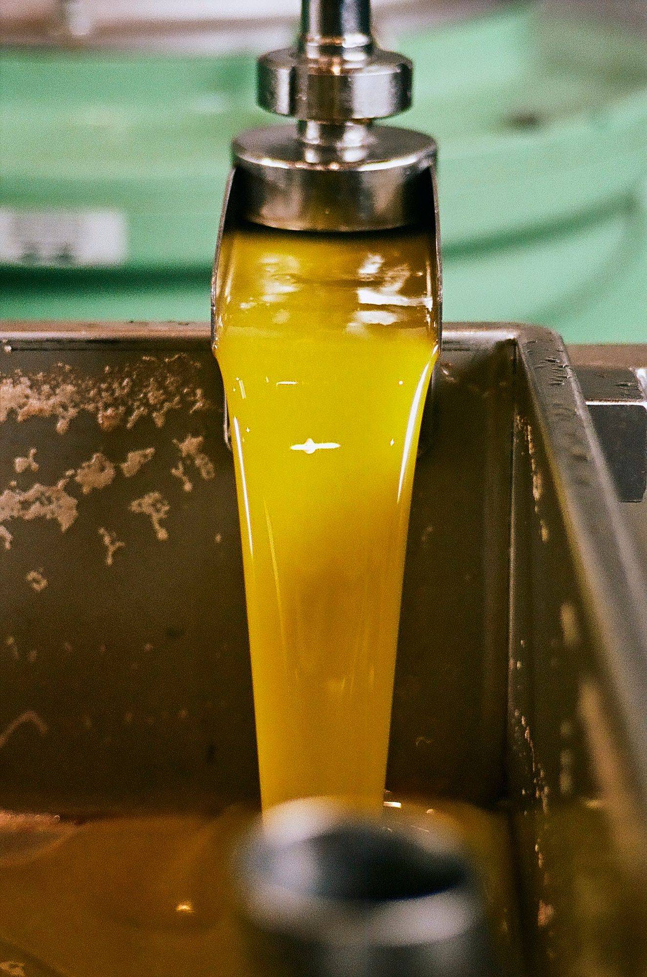 olive-oil-production  olive oil production in alentejo